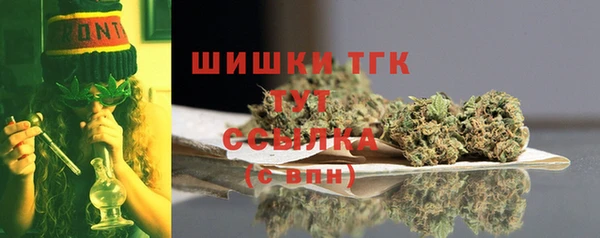 дживик Гусев