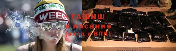 шишки Гусь-Хрустальный